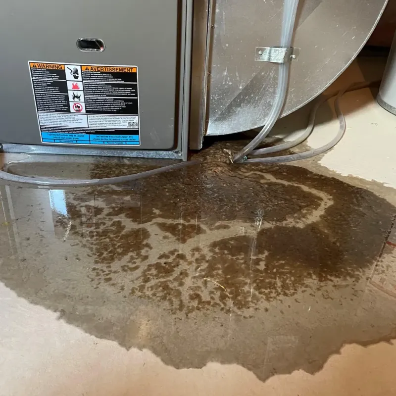 Appliance Leak Cleanup in Cathcart, WA